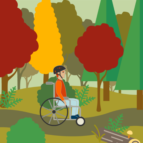 person in a wheelchair rolling through the forest
